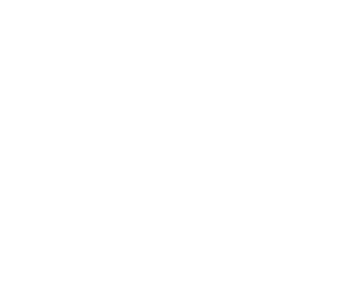 S-AGENT